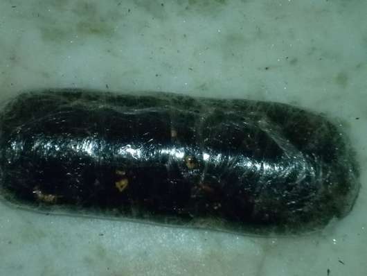 Salchichon De Chocolate